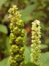 Illustrations: Unbelievable Fine Talents