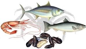 Illustrations: Unbelievable Fine Talents