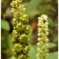 Портфолио Melvina France