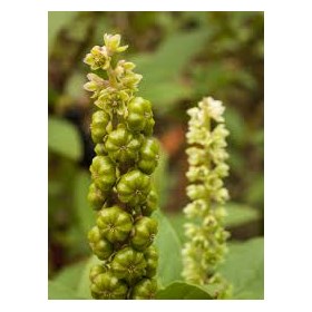 Illustrations: Unbelievable Fine Talents